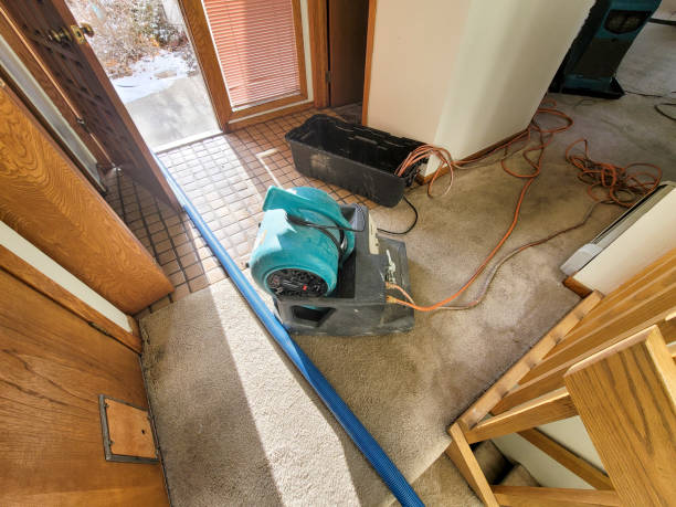 Best Basement water damage restoration  in Arnold, PA