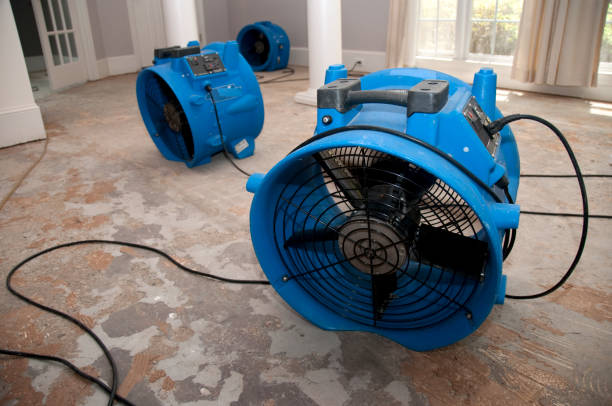 Best Mold removal after water damage  in Arnold, PA