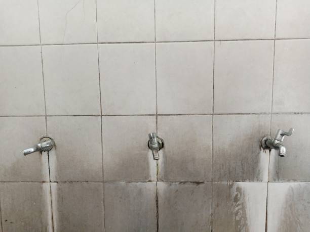  Arnold, PA Water damage restoration Pros