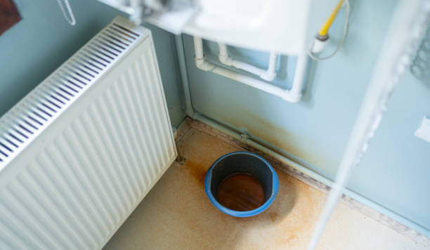 Best Flood restoration services  in Arnold, PA