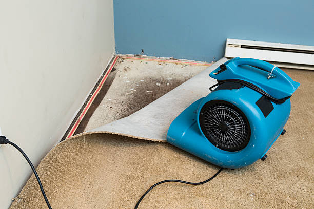 Best Residential water damage restoration  in Arnold, PA